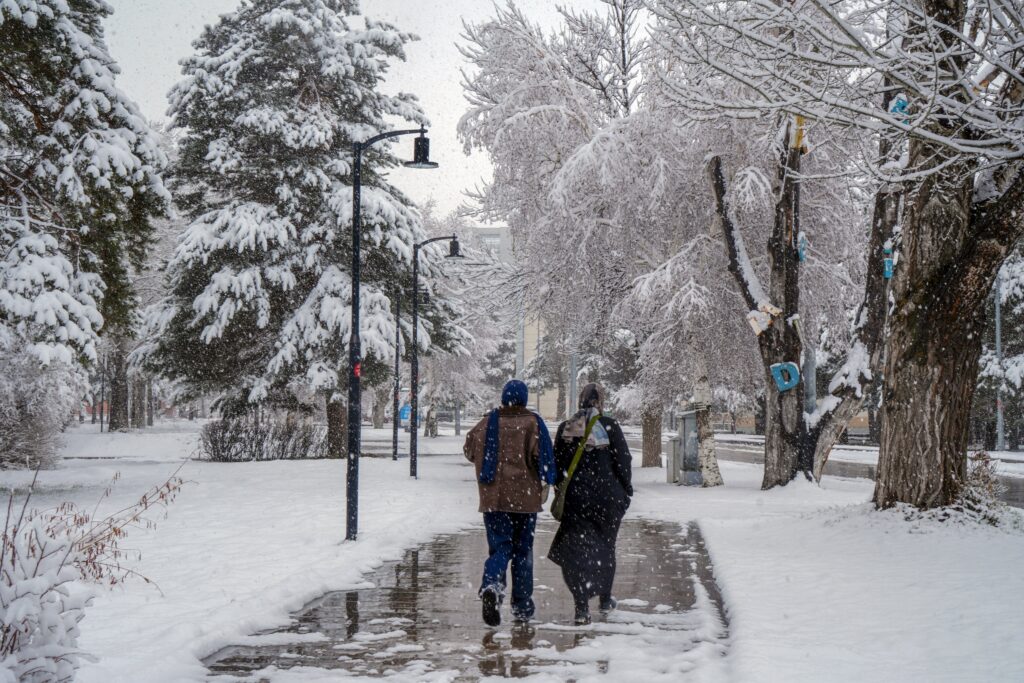 ERURUM KAR MANZARA 2