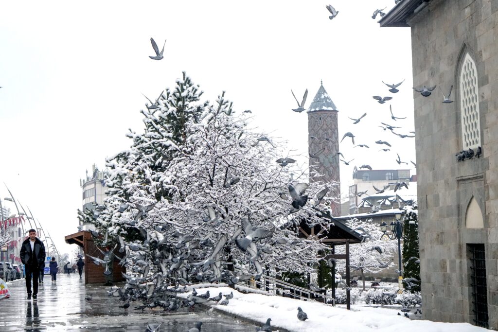 ERZURUM KAR MANZARA