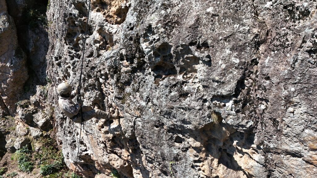 ORDU – Ordu’da Polis Özel Harekat timi zorlu tatbikat ve eğitimlerle daima göreve hazır