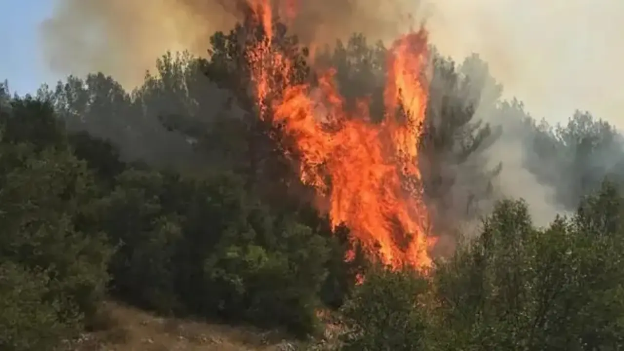 Muğla’da çıkan orman yangınına müdahale ediliyor